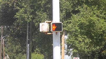 Econolite E-8 Pedestrian Signal