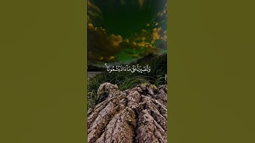 تلاوة تهز القلوب❤️صوت يريح النفس🎧 ويشرح الصدر قرآن كريم بصوت خاشع🎤أقوى تلاوة قرآن تبكي القلوب😭😥❤️