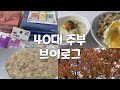 주부 브이로그/절약 결심/새우 리조또