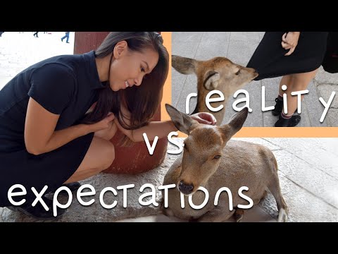 DEER PARADISE IN JAPAN | NARA DEER PARK