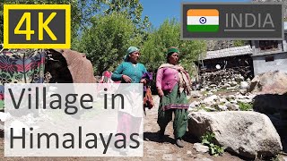 [4K] Walking CHITKUL - a Village in Himalayas - India walk tour