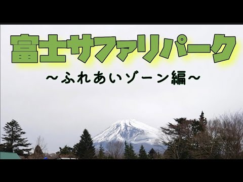 富士サファリパーク ふれあいゾーンで動物たちとふれあってみた！