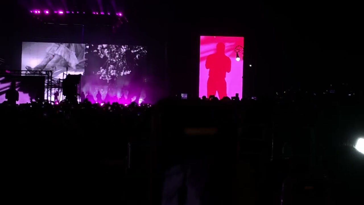 Si yo hubiera nacido en México, hubiera nacido en Veracruz ♥️ Mon Laferte 