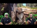 Americans React to Only in Australia Funny Video Compilation =)