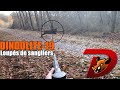 Compilation tirs sangliers : la dindolite-19