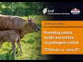 Promoting animal health and welfare via pathogens control