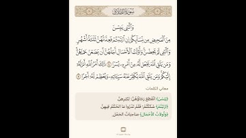 آيات في دقيقة واحدة سورة الطلاق 3 تلاوة الشيخ سعد الغامدي