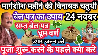 24 नवंबर विनायक चतुर्थी के उपाय बेल पत्र का नियम#pradeep mishra ji#chaturthi के upay#belptra