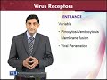 BT601 Virology Lecture No 41