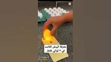 معرفة البيض الفاسد في ٣ ثواني فقط Shorts 