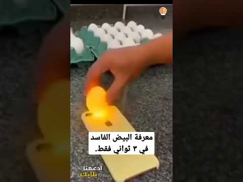 فيديو: هل تجعلك البيضة الفاسدة مريضا؟