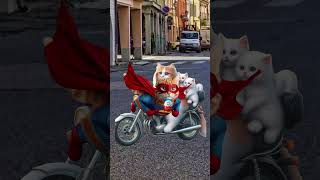 Cute cats and kittens steals my kinderjoy !!!! ##catvideos #cutecats #catlover #trendingshorts#cat