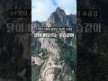 맑은날엔 바다건너 한라산이 보인다는 그 산