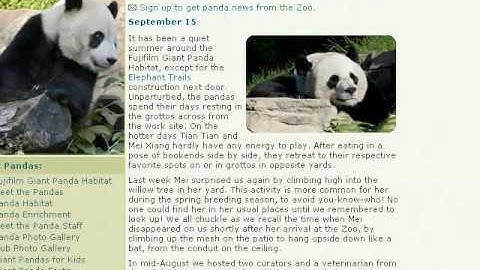 Things To Do In Internet: Cam (Jaakko Reupload)