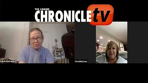 Good Dog (People)  A CCTV Interview with Terri Eri...