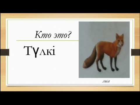 ТабиғатКазахский язык с нуля,  слова про природу, животных и погоду, а в конце вас ждут задания...🤗