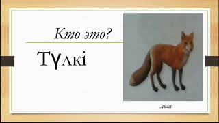 ТабиғатКазахский язык с нуля,  слова про природу, животных и погоду, а в конце вас ждут задания...🤗