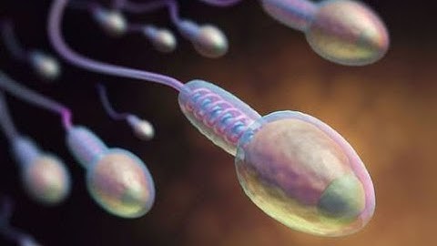 Reproductive pathology CPT codes - simplify medical coding