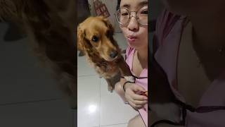 Mom Regret For It funny funny animal