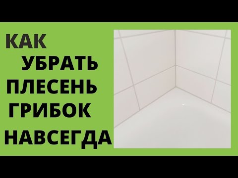 Как очистить ванную комнату от плесени в домашних условиях