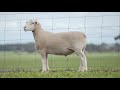 Keeper Ram 218084 Keeper Ram 218084