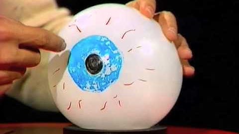 Finding Your Blind Spot