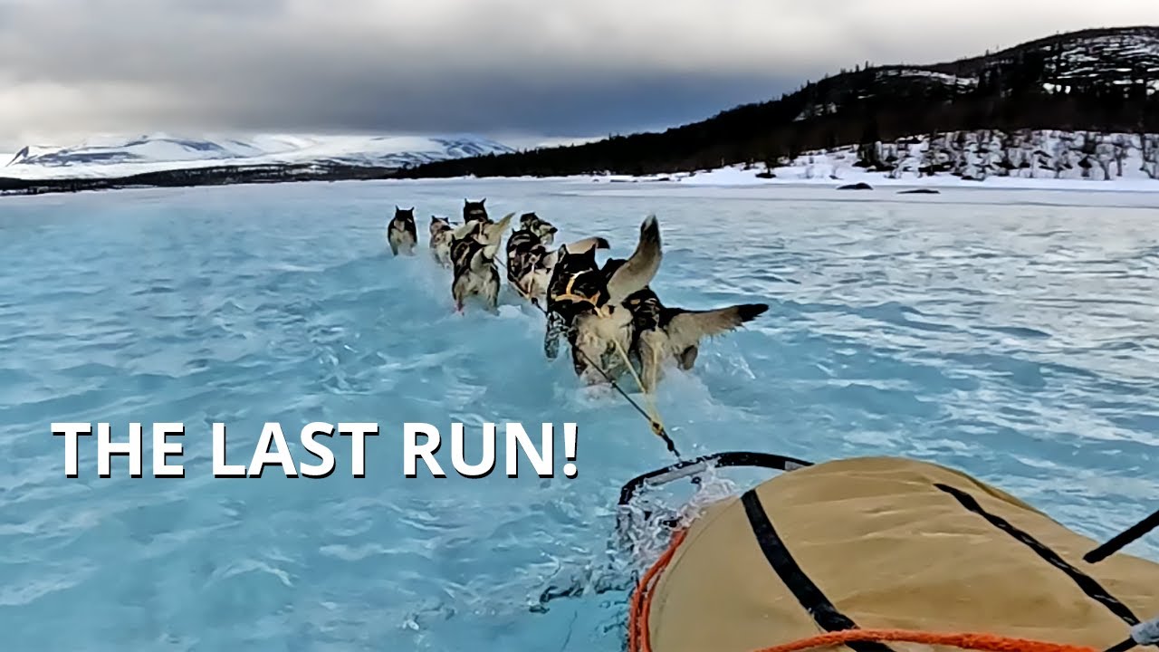 GO outdoors - Dog Sledding Sweden