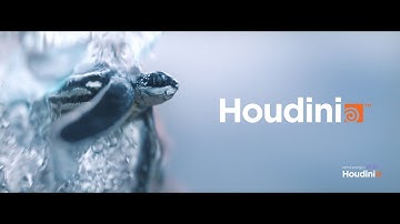 Houdini Bubbles Simulation | Underwater Scene | VFX | TURTLE CLIP | Quick BREAKDOWN | 2024