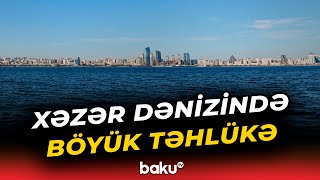 Panika Yaradan Fakt Xəzər Dənizində Nə Baş Verir?