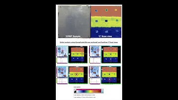 COMPOSITE INSPECTION