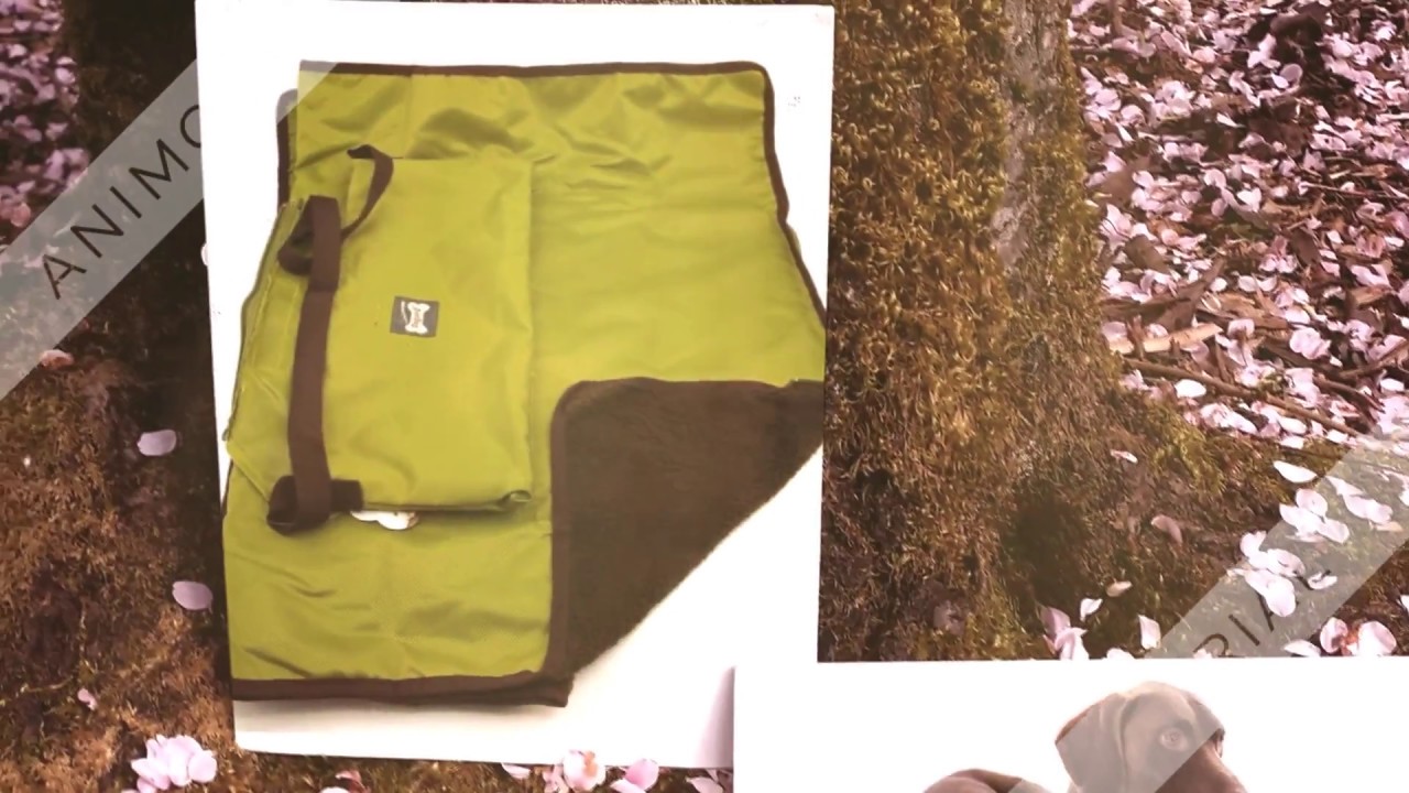 Kofferraumschutz Hund YouTube