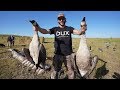 Hunting Geese in August!! Early Season North Dakota Honkers Day 1