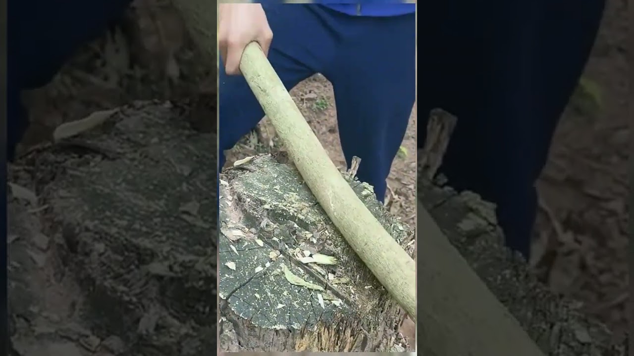 My Country Life# This is the atmosphere of spring.