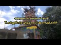 வாள எடுத்தவங்க ஆள பிறந்தவங்க / Vaala Eduthavanka Mutharaiyar Song Mp3 Song