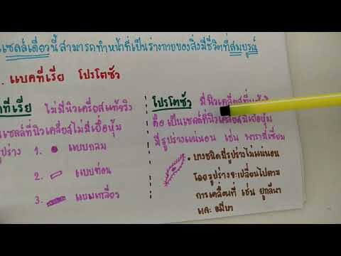 หน่วยของสิ่งมีชีวิต EP.1
