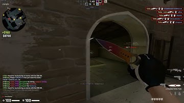 HvH ft Primordial.dev