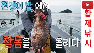 참돔 꼬라박기 낚시를 하는데 전갱이가 와이리 많노!!