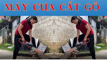 Máy cưa xích cắt gỗ sencan 1900w chuyên cắt gỗ cắt củi | Điện Máy Đông Phong