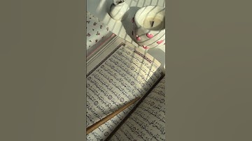 #qurantilawat #المصحف #سورة  الحجر