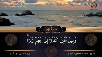 #وسيق_الذين_كفروا #أرح_مسمعك #القارئ_محمد_الشوكي خواتيم سورة الزمر | تلاوة ندية | القارئ محمد الشوكي