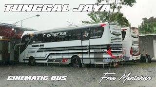 CINEMATIC BUS || BUS TUNGGAL JAYA KIDS PANDA NGEBLONG HUJAN FREE MENTAHAN