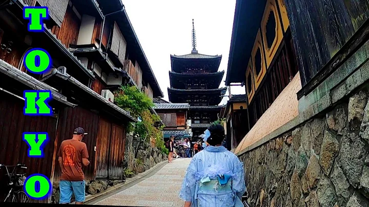 2025 Tokyo Japan Airport Arrival Through Immigration Customs Tips What We Experienced Things To Know