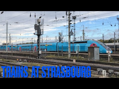 Trains at Strasbourg (1/11/21)