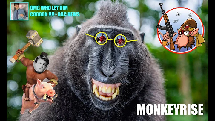 MONKEYRISE