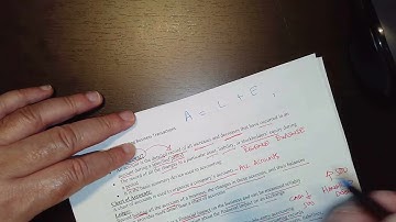 Lecture 2   Chapter 2   Recording  Business Transactions