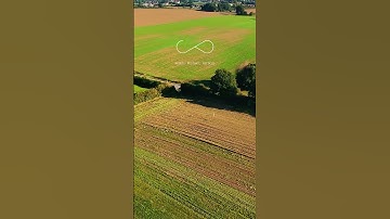 Reset. Restart. Refocus 🌄🔄