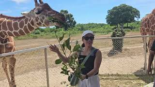 Calauit Safari Park The Island Sanctuary Wonderlast Ep. 2