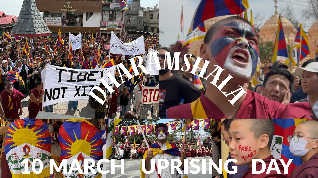 The 67th Anniversary of the Tibetan Uprising Day Calgary # Tibetan # Vlogger #