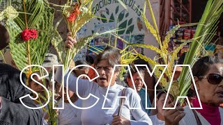 COSTUMBRE DEL DOMINGO DE RAMOS EN SICAYA, HUANCAYO | El Auquish