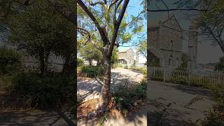 Sayedat El Qalaa 22- Minjiz - Akkar - Lebanon- دير سيدة القلعة ٢٢- بلدة منجز - محافظة عكار- لبنان